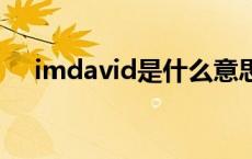 imdavid是什么意思 david是什么意思 