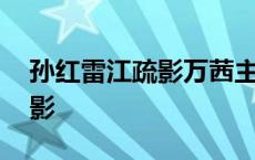 孙红雷江疏影万茜主演的电视剧 孙红雷江疏影 