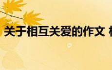 关于相互关爱的作文 相互关爱的作文600字 