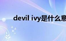 devil ivy是什么意思 ivy是什么意思 