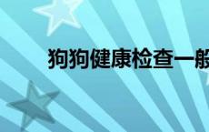 狗狗健康检查一般多少钱 狗狗健康 