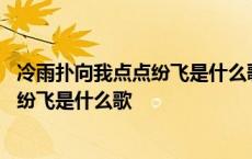 冷雨扑向我点点纷飞是什么歌的歌词马鲛鱼 冷雨扑向我点点纷飞是什么歌 