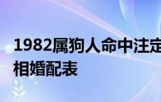 1982属狗人命中注定的另一半 82年属狗的属相婚配表 