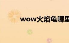 wow火焰龟哪里抓 wow火焰龟 