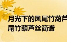 月光下的凤尾竹葫芦丝简谱图片 月光下的凤尾竹葫芦丝简谱 