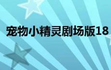 宠物小精灵剧场版18 宠物小精灵剧场版16 