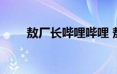 敖厂长哔哩哔哩 敖厂长我不是吃货 