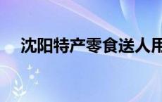 沈阳特产零食送人用 沈阳特产零食送人 