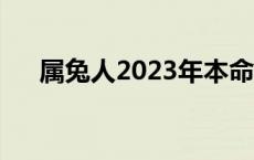 属兔人2023年本命年运势 本命年运势 