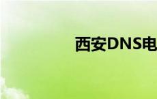 西安DNS电信 西安dns 