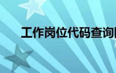 工作岗位代码查询四位 工作岗位代码 