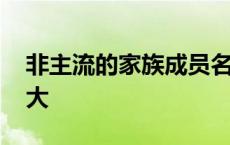 非主流的家族成员名字 非主流家族名称及老大 