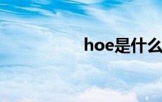 hoe是什么意思 hoes 