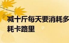 减十斤每天要消耗多少卡路里 减10斤每天消耗卡路里 