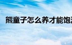 熊童子怎么养才能饱满通透 熊童子怎么养 