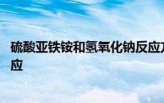 硫酸亚铁铵和氢氧化钠反应方程式 硫酸亚铁铵和氢氧化钠反应 