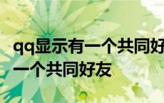 qq显示有一个共同好友应该怎么找 qq显示有一个共同好友 