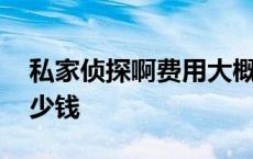 私家侦探啊费用大概多少钱 私家侦探一天多少钱 