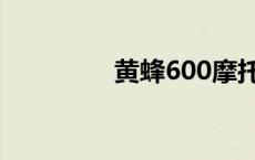 黄蜂600摩托车 黄蜂600 