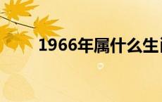 1966年属什么生肖 1966年属什么 