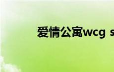 爱情公寓wcg sloggi爱情公寓 