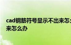 cad钢筋符号显示不出来怎么办视频 cad钢筋符号显示不出来怎么办 