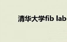 清华大学fib lab abbily清华大学 