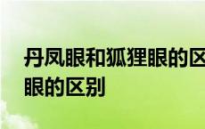 丹凤眼和狐狸眼的区别在哪里 丹凤眼和狐狸眼的区别 