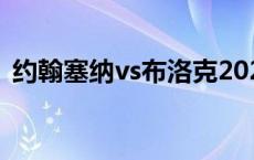 约翰塞纳vs布洛克2023 约翰塞纳vs布洛克 