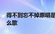 得不到忘不掉原唱是谁 得不到也忘不掉是什么歌 