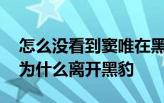 怎么没看到窦唯在黑豹时期的演出视频 窦唯为什么离开黑豹 