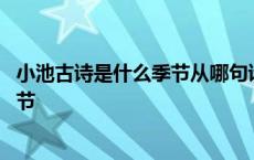 小池古诗是什么季节从哪句诗可以看出来 小池古诗是什么季节 