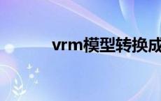 vrm模型转换成mmd vrmmo 