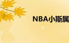 NBA小斯属性 nba小斯 