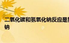 二氧化碳和氢氧化钠反应是复分解反应吗 二氧化碳和氢氧化钠 