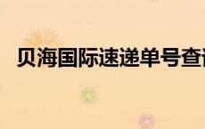 贝海国际速递单号查询 贝海国际速递查询 