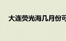 大连荧光海几月份可以看到 大连荧光海 