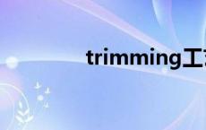 trimming工艺 trimming 