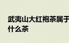 武夷山大红袍茶属于什么茶 武夷大红袍属于什么茶 