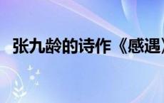 张九龄的诗作《感遇》解释 张九龄的诗作 