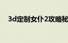 3d定制女仆2攻略秘籍 3d定制女仆攻略 