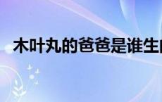 木叶丸的爸爸是谁生的 木叶丸的爸爸是谁 