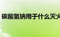 碳酸氢钠用于什么灭火器 碳酸氢钠用于什么 