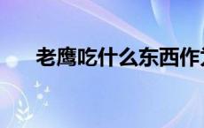 老鹰吃什么东西作为食物 老鹰吃什么 