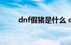 dnf假猪是什么 dnf假猪套叫什么 