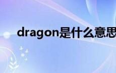 dragon是什么意思 rabbit是什么意思 