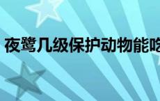 夜鹭几级保护动物能吃吗 夜鹭几级保护动物 