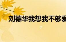 刘德华我想我不够爱你 我想我不够爱你 