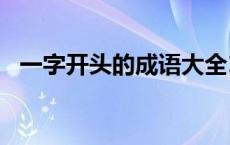 一字开头的成语大全100个 丰开头的成语 