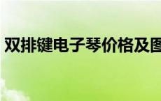 双排键电子琴价格及图片 双排键电子琴价格 